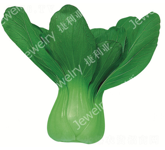 ������-�๣�˷N��-������