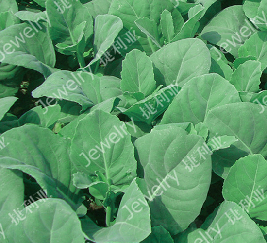 �݌�3̖-���{(l��n)�N��-������