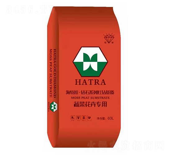 �߲˻��܌���-�@ʯϵ�мt�@���|(zh��)-������