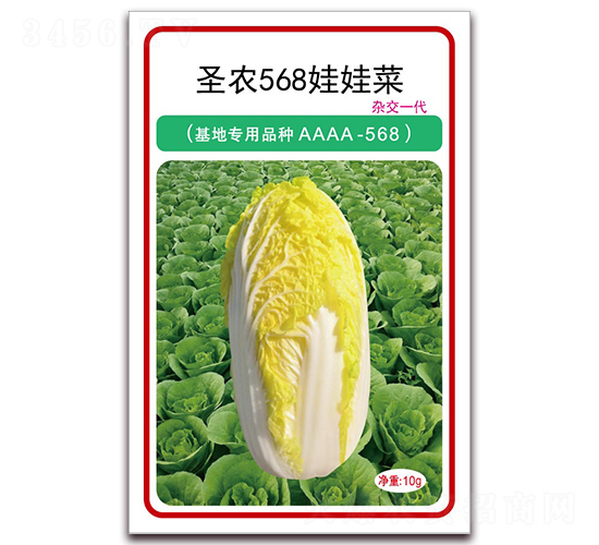 ʥ�r(n��ng)568���޲�-���޲˷N��-ʥ�r(n��ng)�߿�