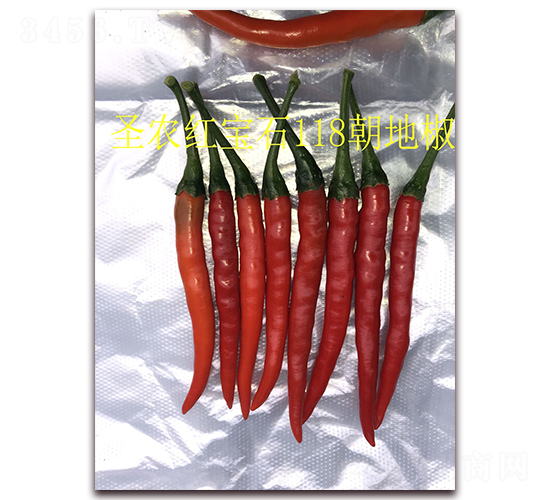 ʥ�r(n��ng)�t��ʯ118���ؽ�-���콷�N��-ʥ�r(n��ng)�߿�