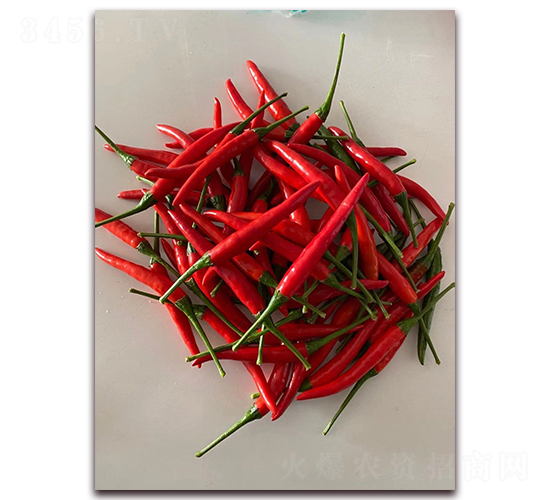 ʥ�r(n��ng)�t��ʯ09���콷-���콷�N��-ʥ�r(n��ng)�߿�