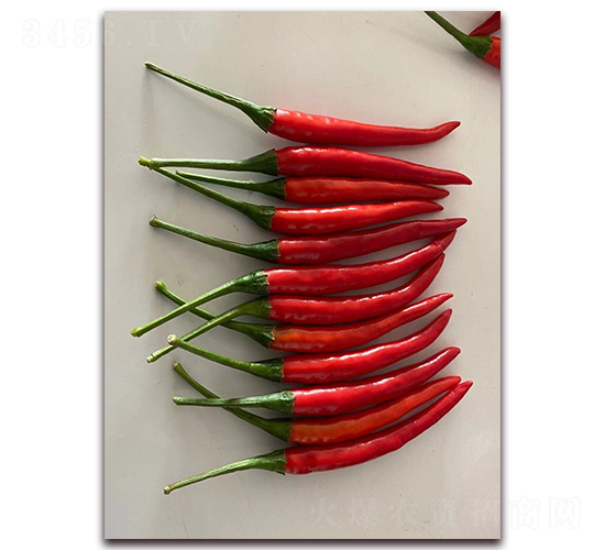 ʥ�r(n��ng)�t��ʯ08���콷-���콷�N��-ʥ�r(n��ng)�߿�