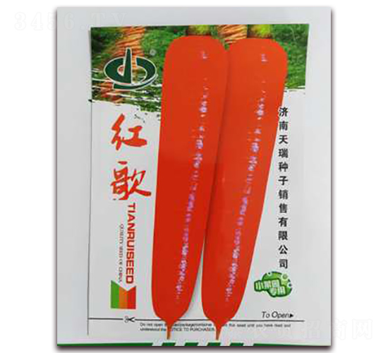 �t��-�}���N��-����N��