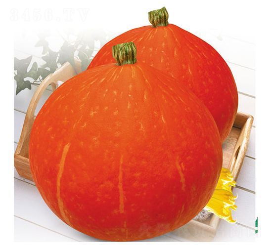 �tʥ-�ϹϷN��-ʒ�·N�I(y��)