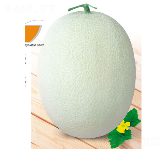 �F��-��ϷN��-ʒ�·N�I(y��)