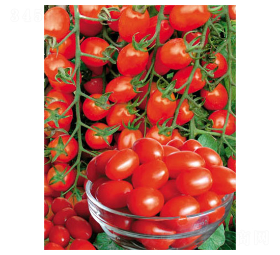 �ŵ���-���ѷN��-ʒ�·N�I(y��)