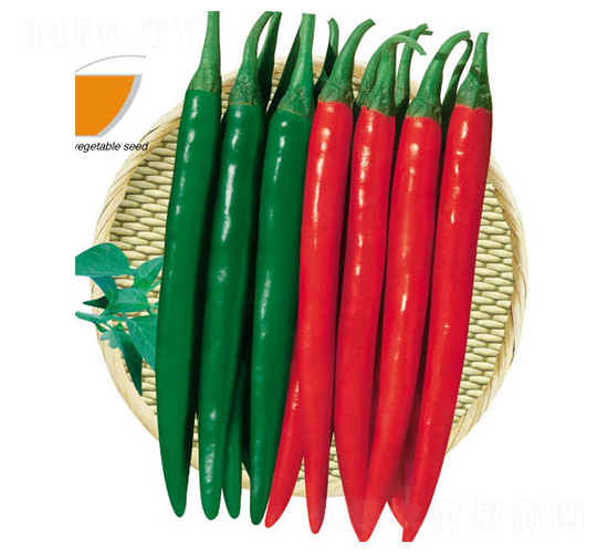 �t��-�����N��-ʒ�·N�I(y��)