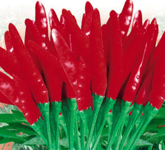 ���-�����N��-ʒ�·N�I(y��)