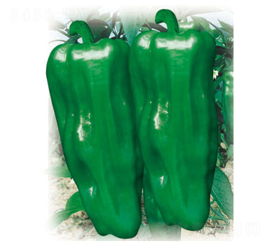 �����r(n��ng)��-�����N��-ʒ�·N�I(y��)