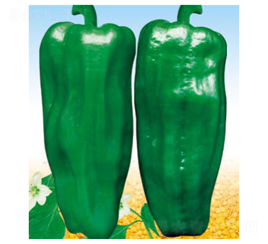 �r(n��ng)����̖-�����N��-ʒ�·N�I(y��)