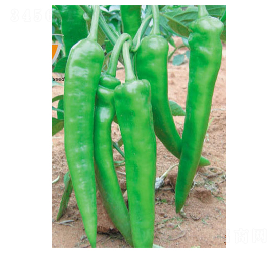 ���S-�����N��-ʒ�·N�I(y��)