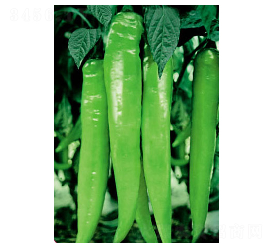 ʒ�¾�̖-�����N��-ʒ�·N�I(y��)