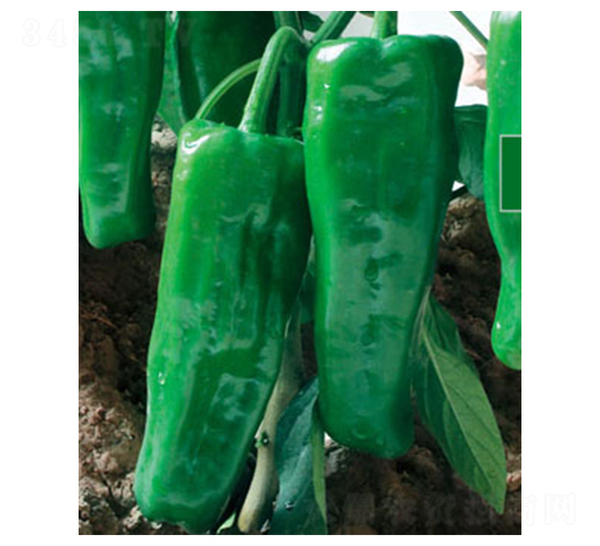 ����801-�����N��-ʒ�·N�I(y��)