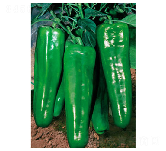 ����601-�����N��-ʒ�·N�I(y��)