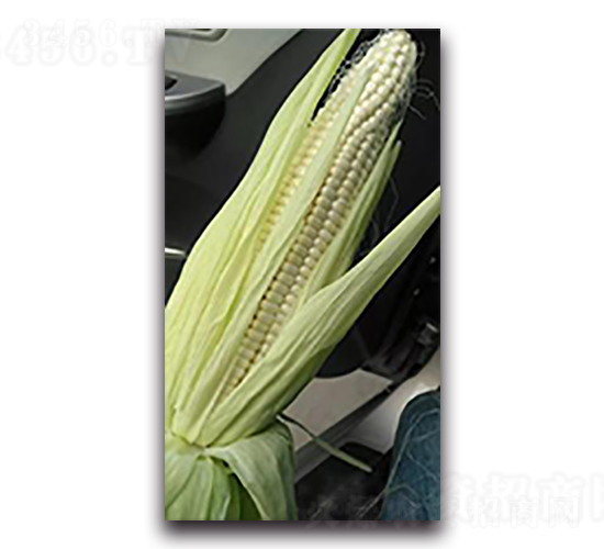 ����Ŵ9̖(h��o)-Ŵ���׷N��-����N��