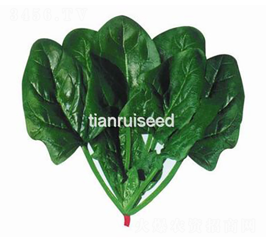 ������-���˷N��-����N��