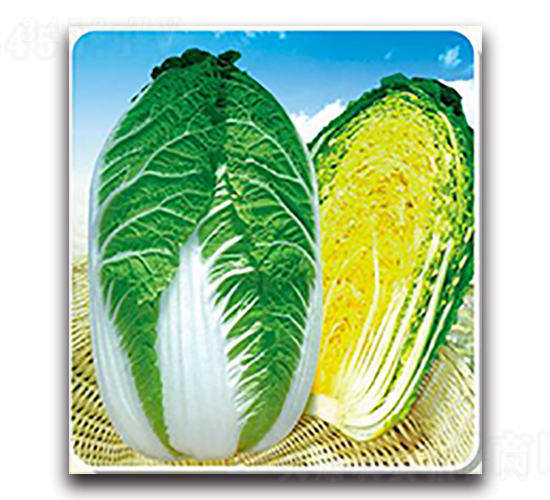 �\�S��-�ײ˷N��-����N��