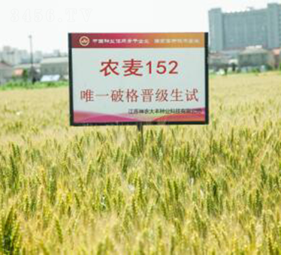 �r(n��ng)��152-С���N��-���r(n��ng)���S