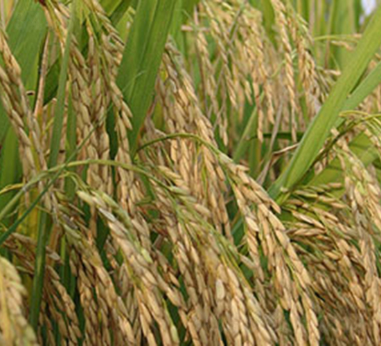 �Ͻ�6̖�����r316��-ˮ���N��-���r���S