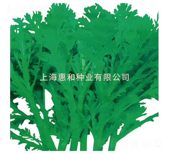 �����̖-��շN��-�ݺͷN�I(y��)