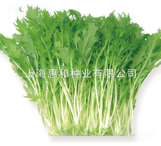 ������ˮ��-ˮ�˷N��-�ݺͷN�I(y��)