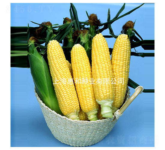 ���88-���׷N��-�ݺͷN�I(y��)