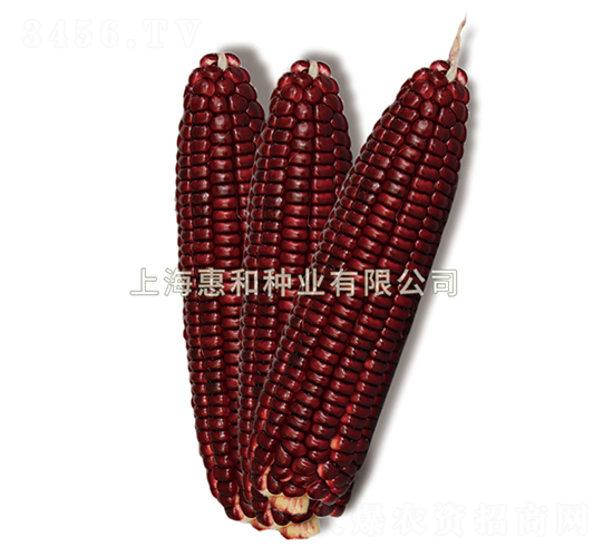 ���tŴ1̖-Ŵ���׷N��-�ݺͷN�I(y��)