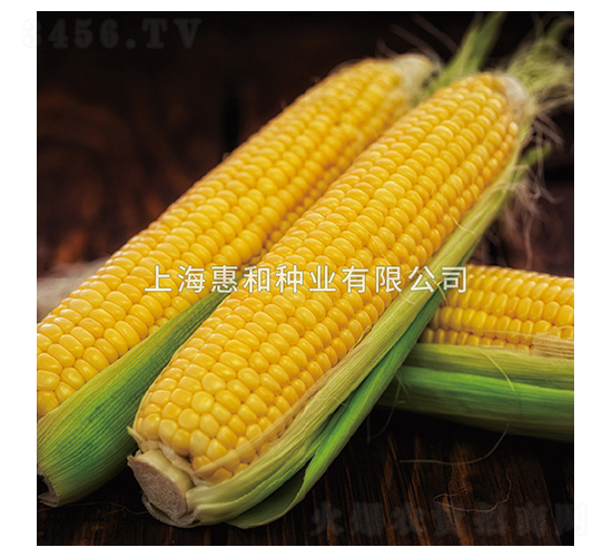 ������̖-���׷N��-�ݺͷN�I(y��)