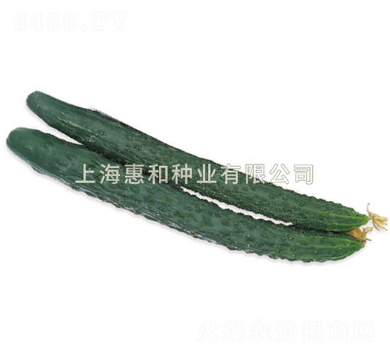 ���S��̖(h��o)-�S�ϷN��-�ݺͷN�I(y��)