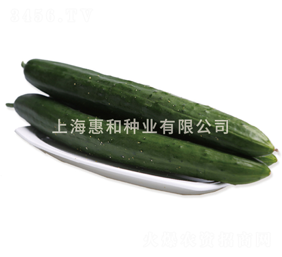 �S�s��̖(h��o)-�S�ϷN��-�ݺͷN�I(y��)