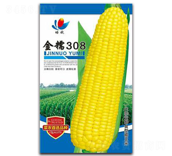 ��Ŵ308-Ŵ���׷N��-����