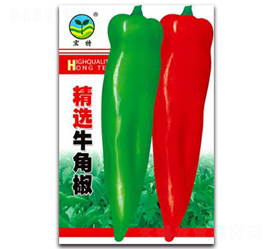 ���xţ�ǽ�-�����N��-����