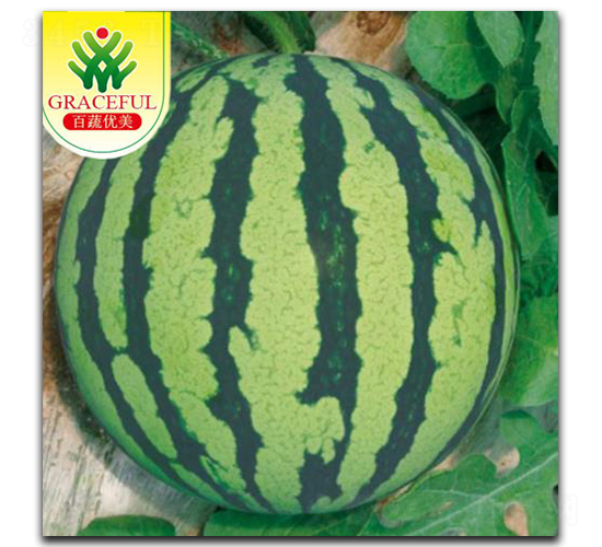 �k��-���ϷN��-��(y��u)���r(n��ng)�I(y��)