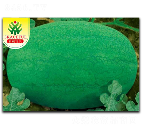 �G��-���ϷN��-��(y��u)���r(n��ng)�I(y��)