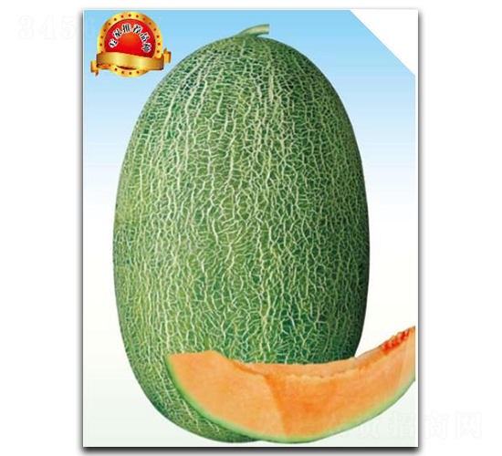 ���A-��ϷN��-��(y��u)���r(n��ng)�I(y��)