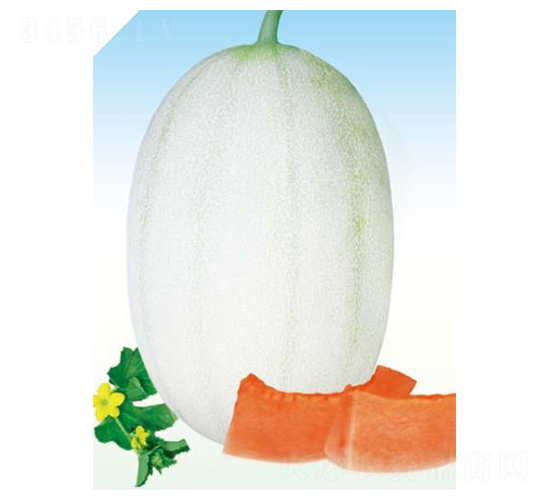 ��(gu��)ɫ����-��ϷN��-��(y��u)���r(n��ng)�I(y��)