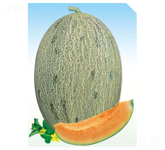 ��Ԋ(sh��)�D-��ϷN��-��(y��u)���r(n��ng)�I(y��)