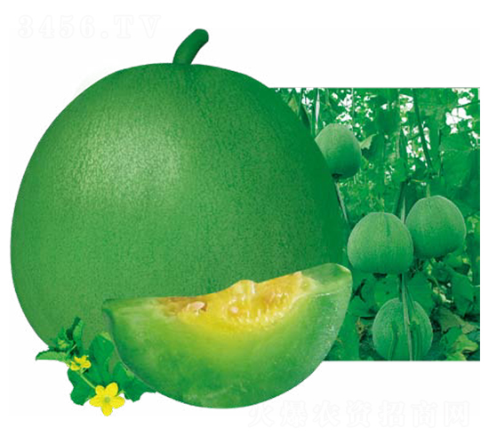 ���m-��ϷN��-��(y��u)���r(n��ng)�I(y��)