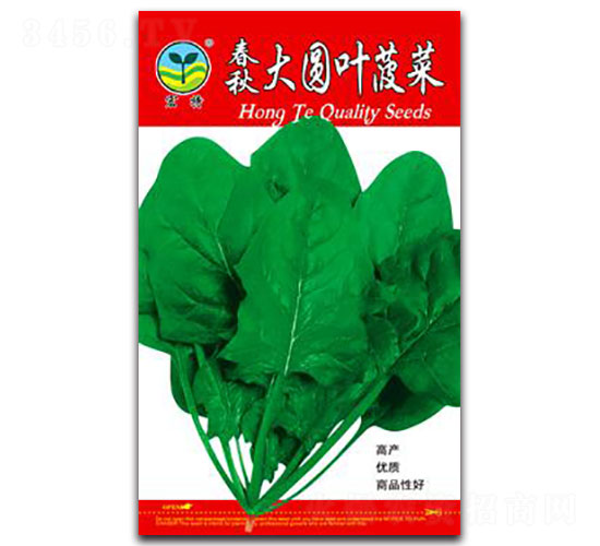 �����A�~����-���˷N��-����