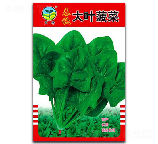 ������~����-���˷N��-����