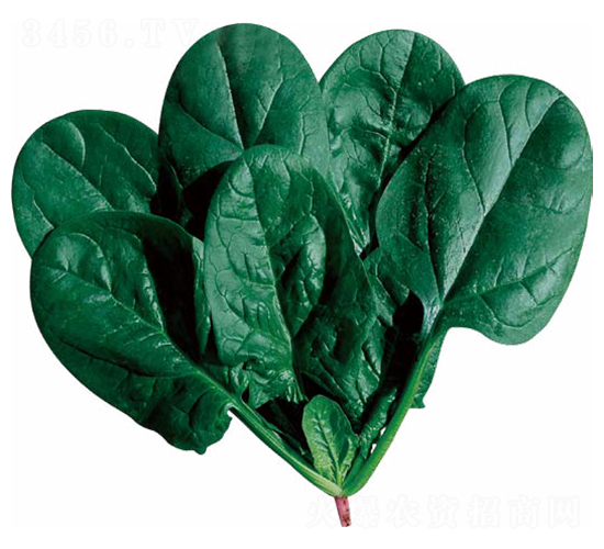 ʥ�؁���-���˷N��-��(y��u)���r(n��ng)�I(y��)