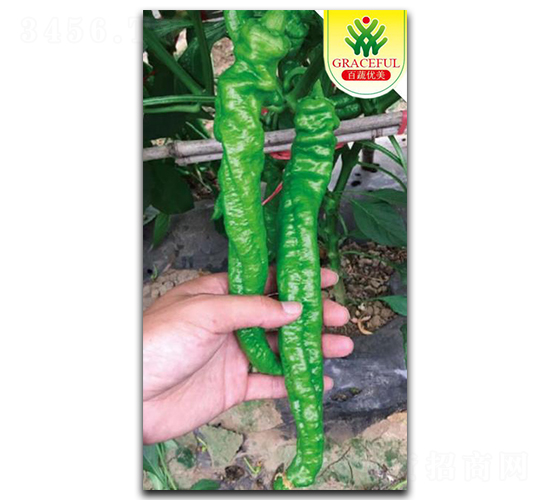 ���L����-�����N��-��(y��u)���r(n��ng)�I(y��)