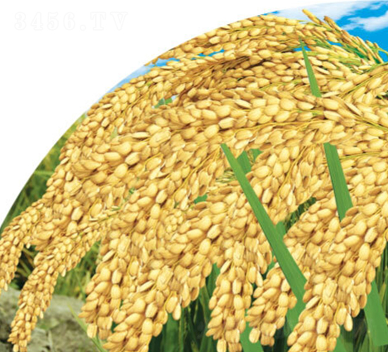 ������-ˮ���N��-���S�N�I(y��)