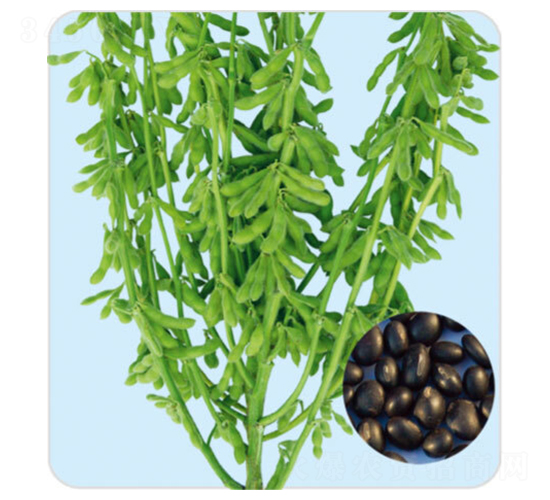 ���һ̖(h��o)-�ڶ��N��-���S�N�I(y��)