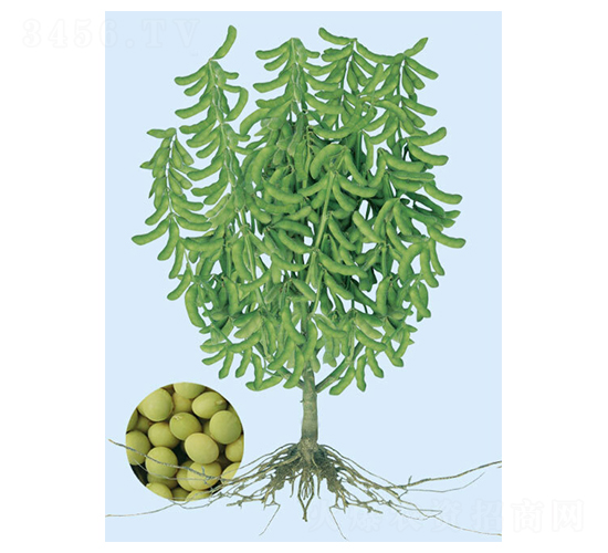 �|��һ̖(h��o)-ë���N��-���S�N�I(y��)