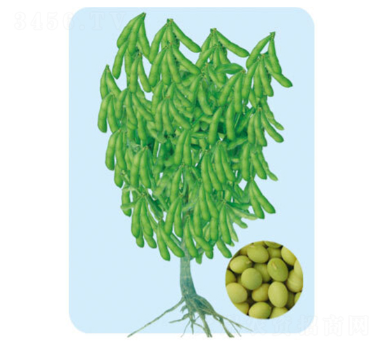 ���Sһ̖(h��o)-ë���N��-���S�N�I(y��)