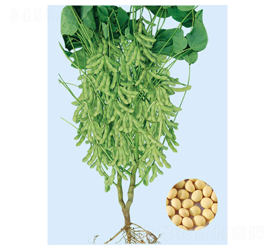 �|��15-�󶹷N��-���S�N�I(y��)