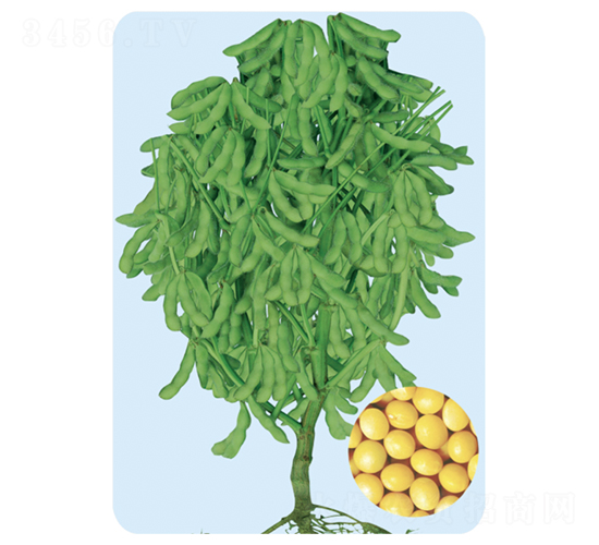 �|��39-�󶹷N��-���S�N�I(y��)