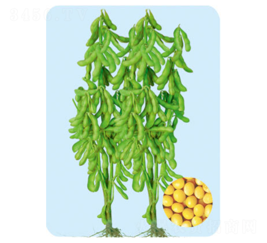 �F��82-�󶹷N��-���S�N�I(y��)